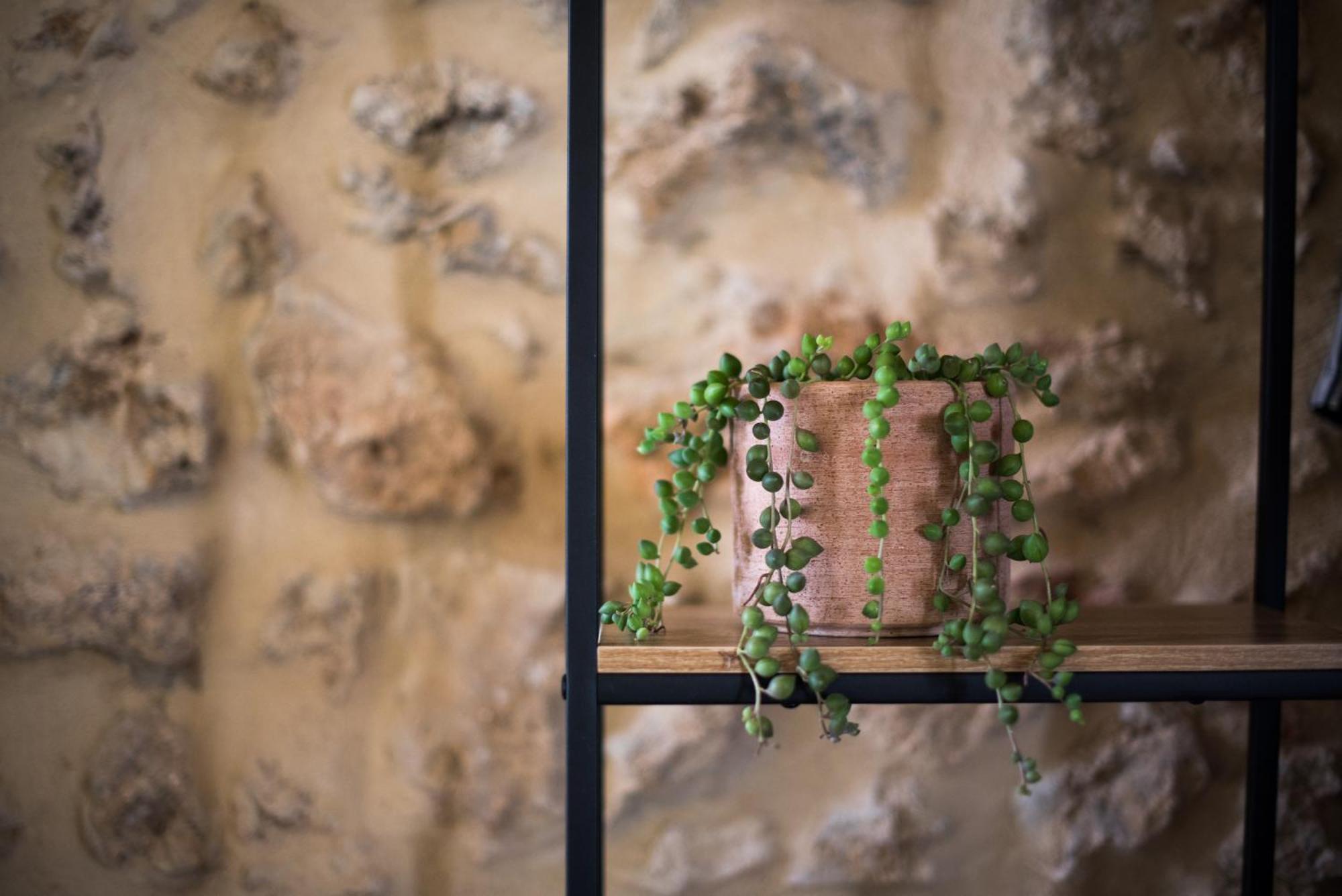 Agriturismo Casalino18 Tognazza Εξωτερικό φωτογραφία